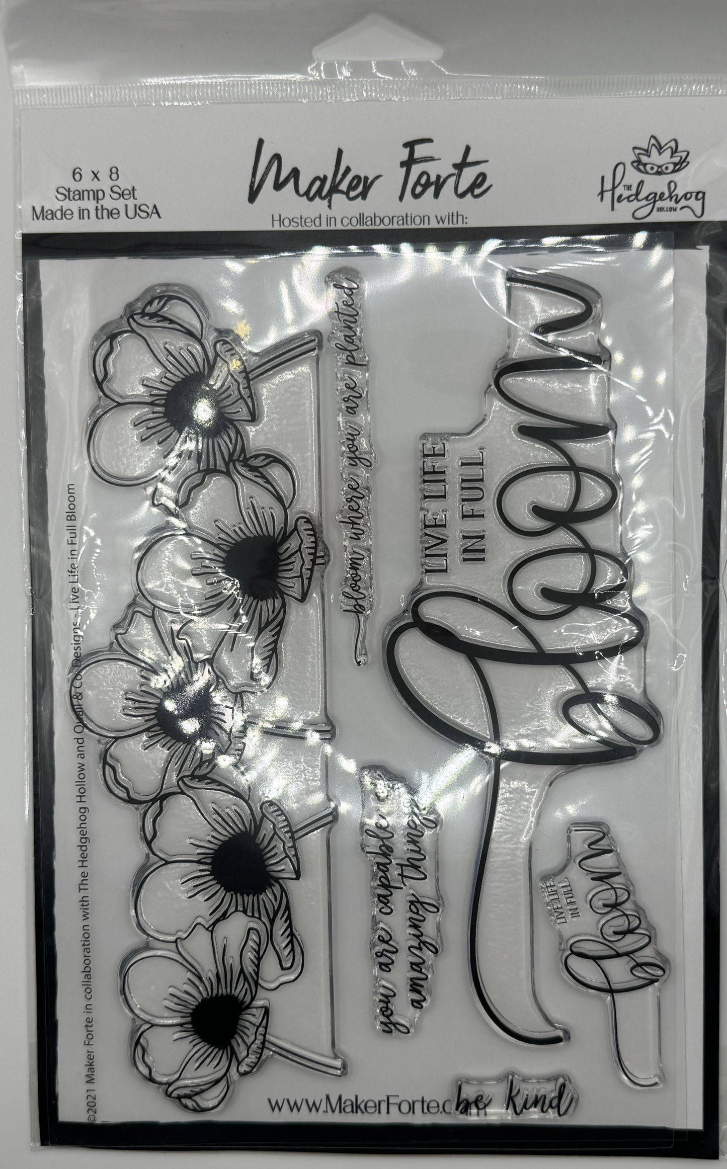 Live Life in Full Bloom 6x8 Stamp Set | Large Floral Border & Inspirational Sentiments | Made in USA