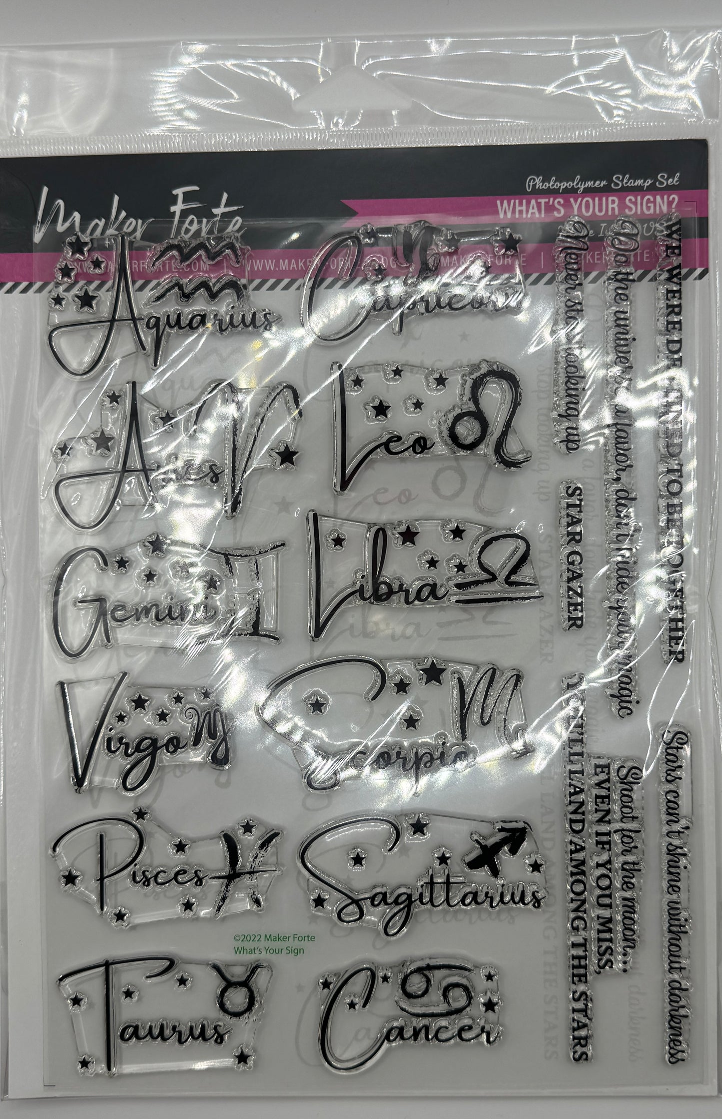 What’s Your Sign? 6x8 Zodiac Stamp Set | Astrology & Horoscope Card Making Stamps | Made in USA
