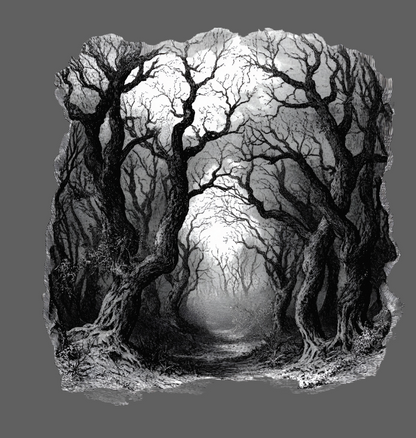 4x6 In the dark dark woods